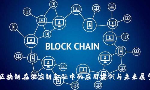 区块链在供应链金融中的应用实例与未来展望